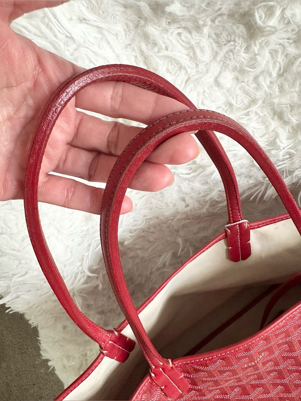 Goyard Saint Louie PM Tote Bag in Red Color - Picture 10 of 12